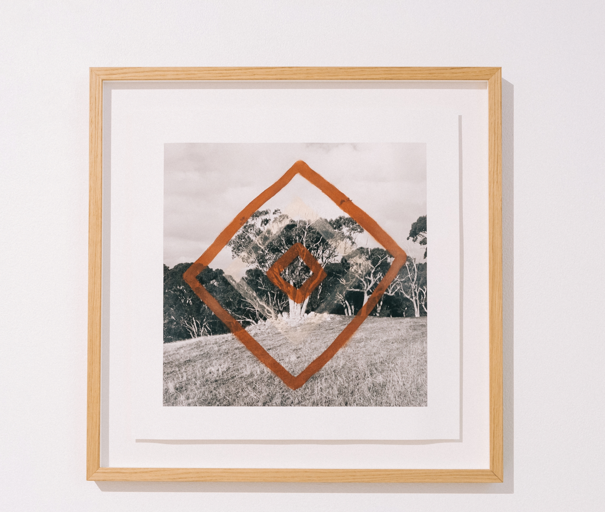 Timber framed square black and white photograph of trees between grass and sky with two hollow diamond lines painted in orange centrally over the top.