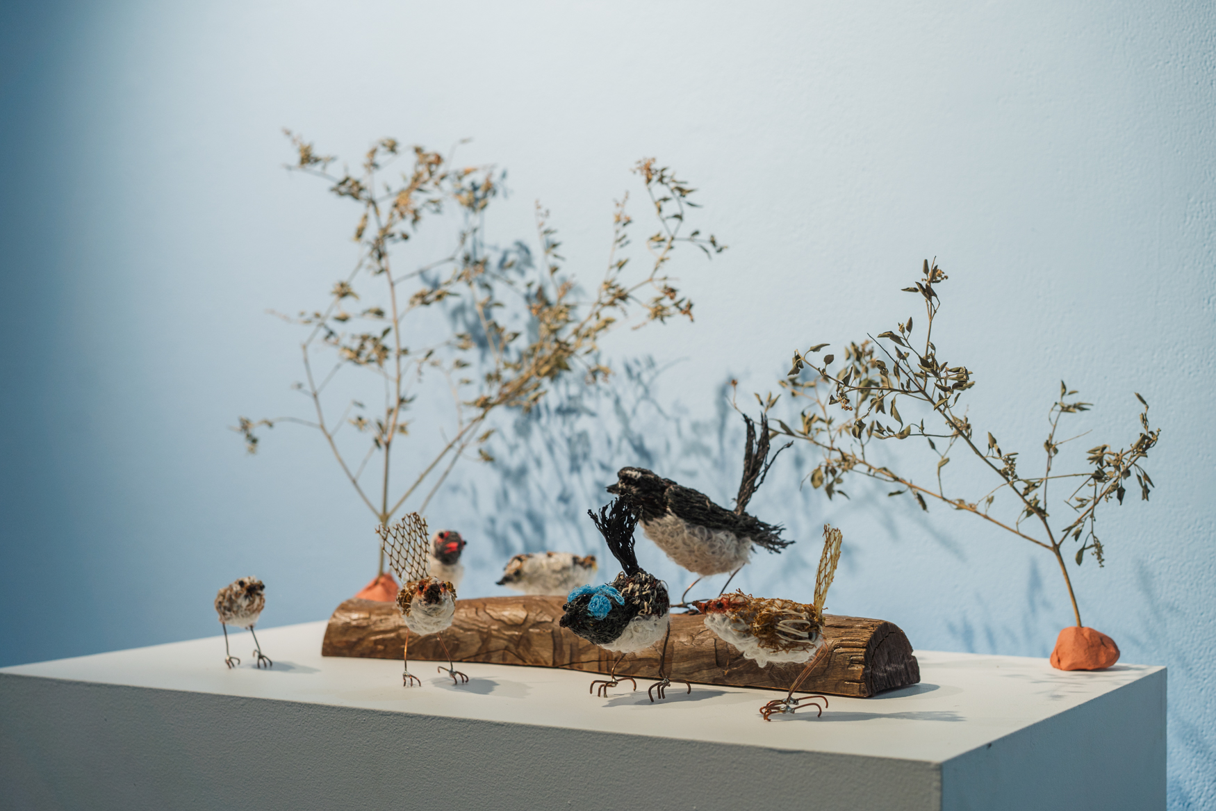 Nexus Arts Studio Residencies 2026 Call Outs